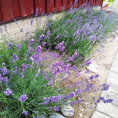 9 Min From Palanga! Luxury House On The River And Sauna Kretinga Eksteriør bilde