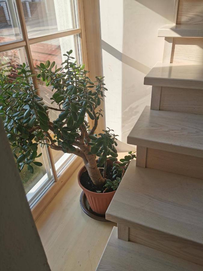 9 Min From Palanga! Luxury House On The River And Sauna Kretinga Eksteriør bilde
